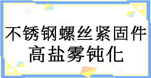 不锈钢螺丝紧固件高盐雾钝化